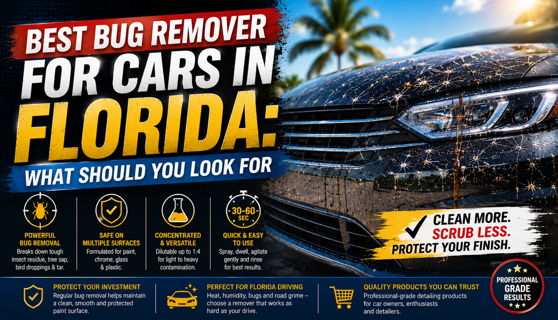 Best Bug Remover for Cars in Florida