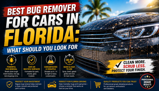 Best Bug Remover for Cars in Florida