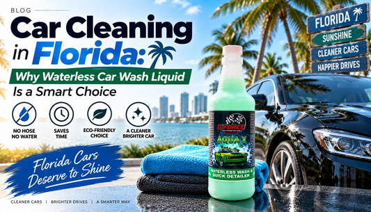 Car Cleaning in Florida