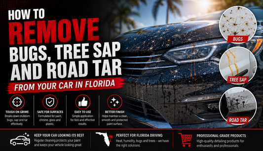 How to Remove Bugs Tree Sap and Road Tar From Your Car in Florida