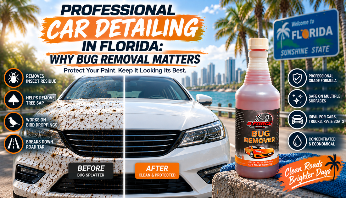 Professional Car Detailing in Florida