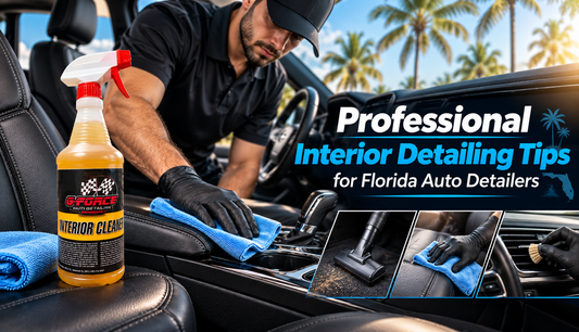 Professional Interior Detailing Tips for Florida Auto Detailers