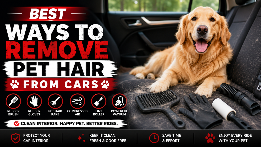 Remove Pet Hair from Cars