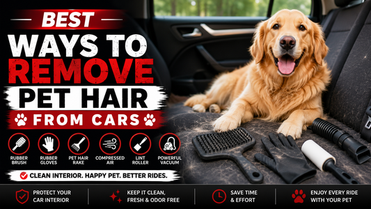 Remove Pet Hair from Cars