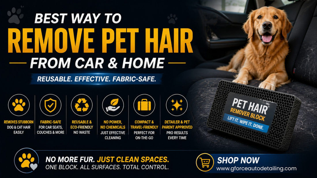Best Way to Remove Pet Hair from Car and Home