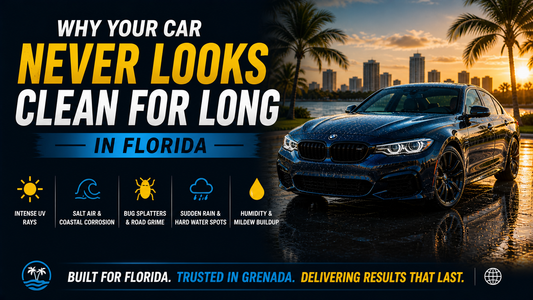 Why Your Car Never Looks Clean for Long in Florida