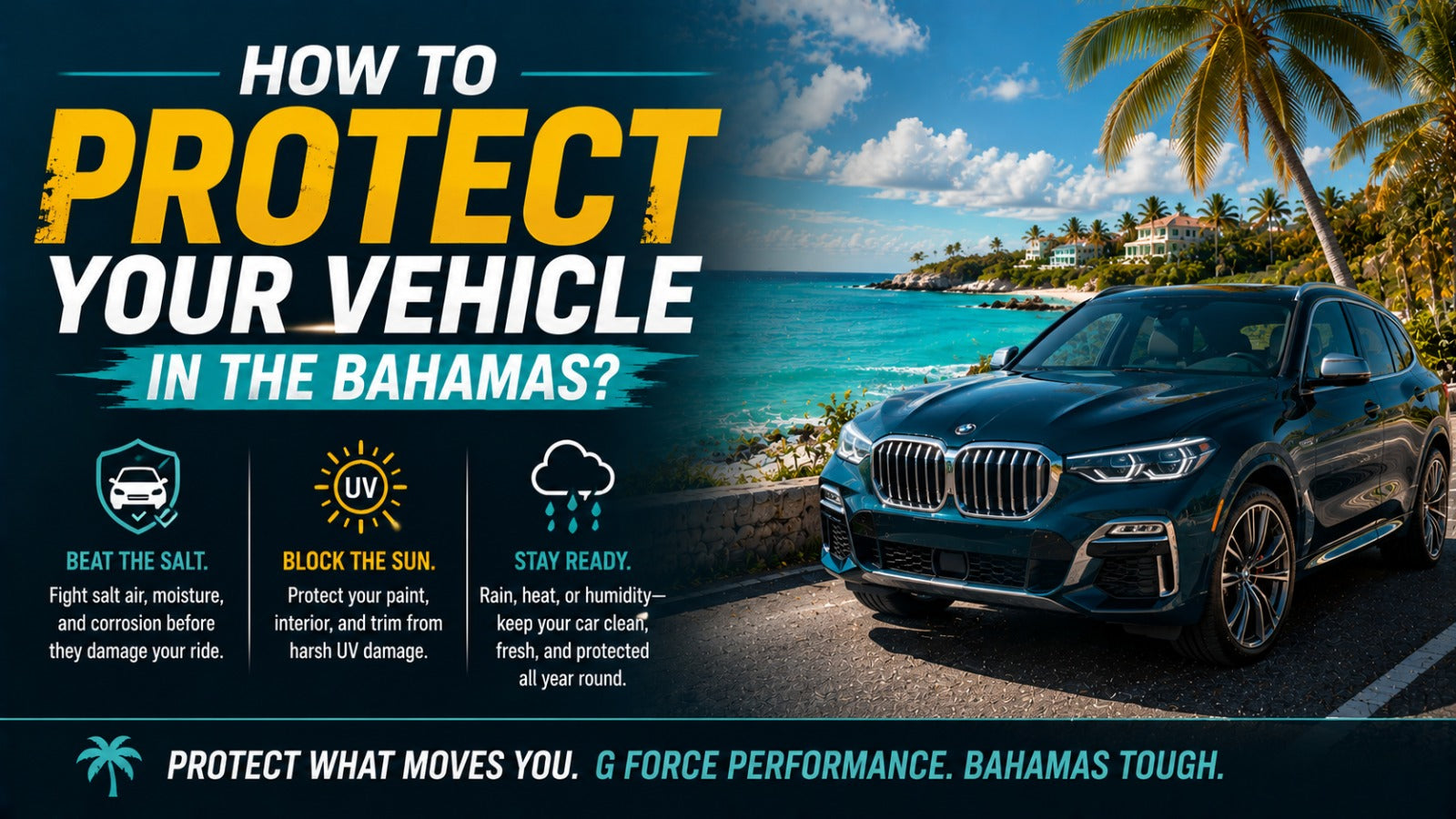 Top Auto Detailing Suppliers in the Bahamas