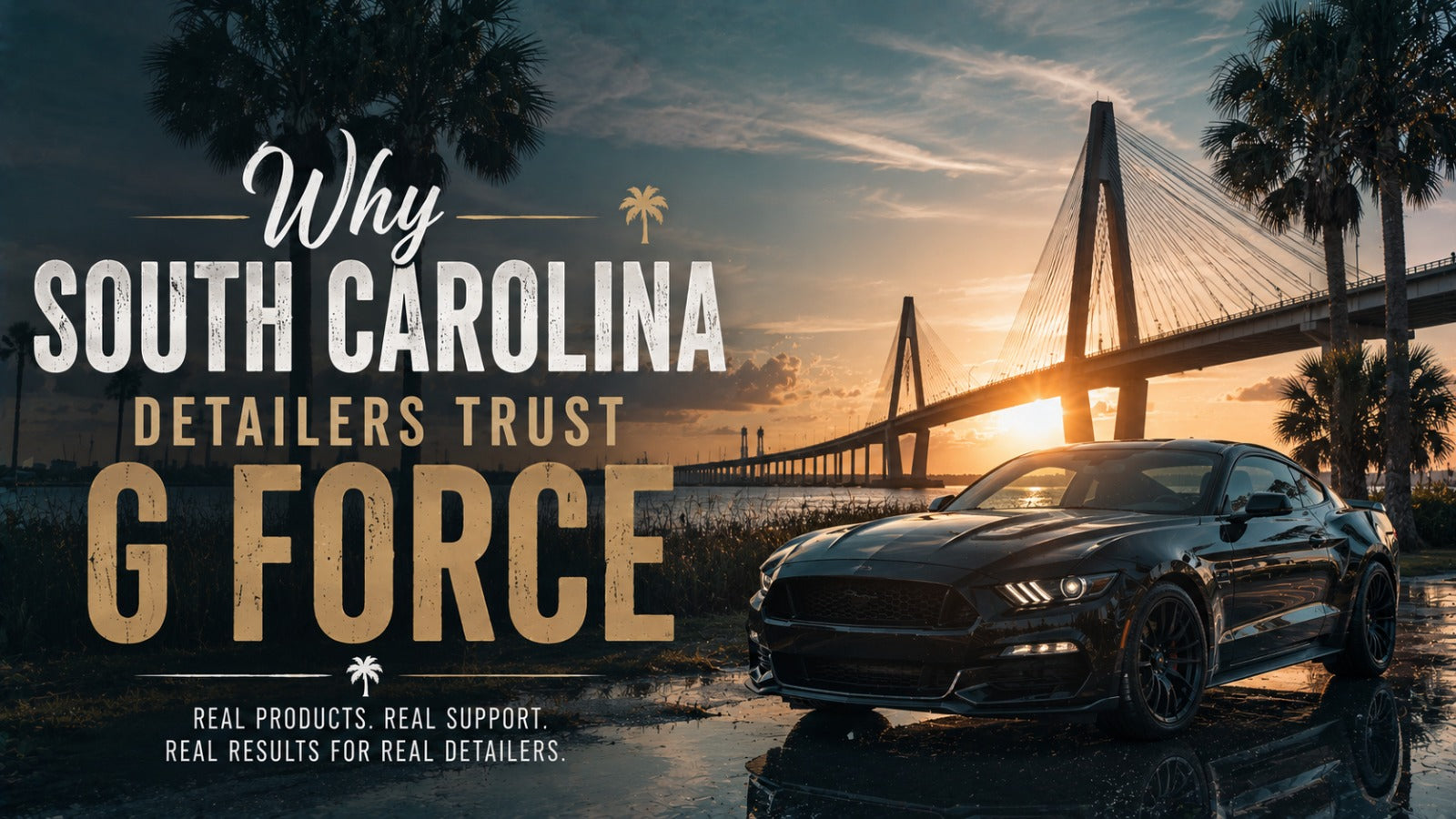 Auto Detailing Suppliers In South Carolina